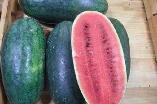 正能量黑料吃瓜导航so,揭秘网络世界的正能量与争议