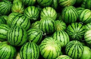 秘密通道黑料吃瓜,黑料瓜田里的真相追踪