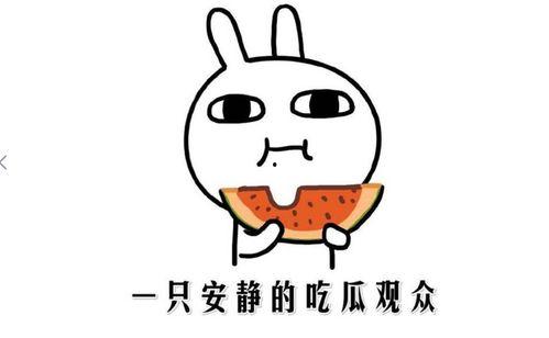 全网吃瓜黑料最真实的瓜,揭秘吃瓜黑料背后的真实故事